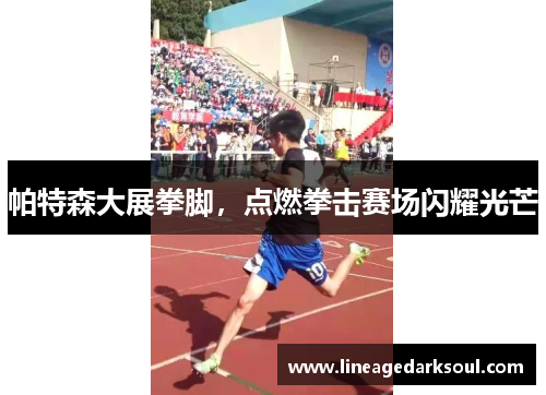 帕特森大展拳脚，点燃拳击赛场闪耀光芒