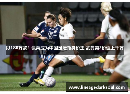 以180万欧！佩莱成为中国足坛新身价王 武磊第2价值上千万